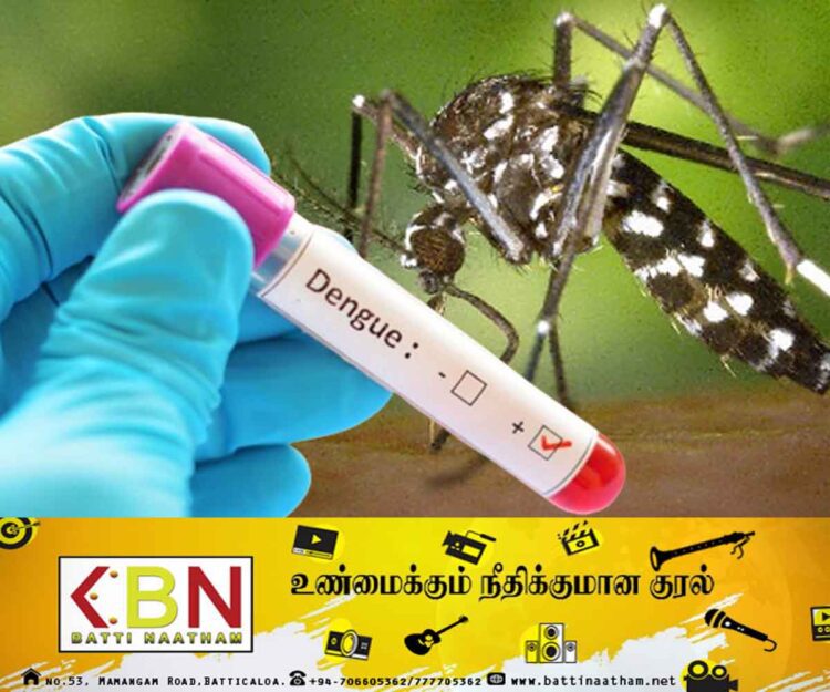 டெங்கு நோய் தீவிரமடைந்து  கொழும்பு பல்கலைக்கழக மாணவி மரணம்!