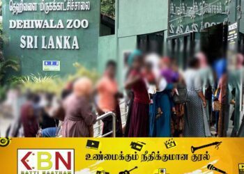 தெஹிவளை மிருகக்காட்சிசாலையின் வருமானம் அதிகரித்துள்ளது!