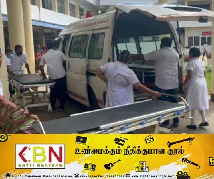 குளவி கொட்டுக்கு இலக்காகிய 5 பெண் தொழிலாளர்கள் வைத்தியசாலையில் அனுமதி!