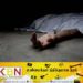 மின் வேலியில் சிக்கி இளைஞன் மரணம்!