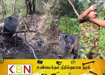 மடுவில் விசேட அதிரடிப் படையினர் சுற்றி வளைப்பு; இருவர் கைது!
