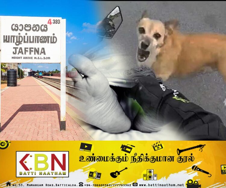 நாய் குறுக்கே பாய்ந்ததால் யாழ் பல்கலைக்கழக மாணவன் உயிரிழப்பு!