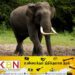 வனஜீவராசிகள் அலுவலக அதிகாரி ஒருவர் காட்டு யானையின் தாக்குதலுக்கு இலக்காகி படுகாயம்!