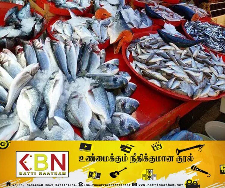 சந்தையில் மீன்களின் விலை அதிகரிப்பு!