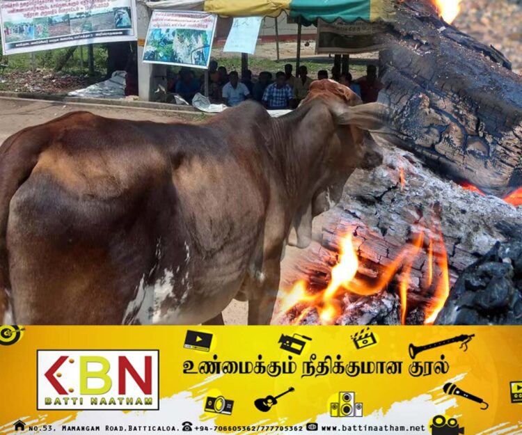 மயிலத்தமடு பகுதியில் தொடரும் அராஜகம்; தீ வைத்து அழிக்கப்படும் மேய்ச்சல் நிலங்கள்!