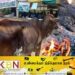 மயிலத்தமடு பகுதியில் தொடரும் அராஜகம்; தீ வைத்து அழிக்கப்படும் மேய்ச்சல் நிலங்கள்!