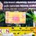 மண்முனைப்பற்று பிரதேச செயலக ஸ்ரீ சர்வ சித்தி விநாயகர் ஆலய சங்காபிஷேக நிகழ்வு!