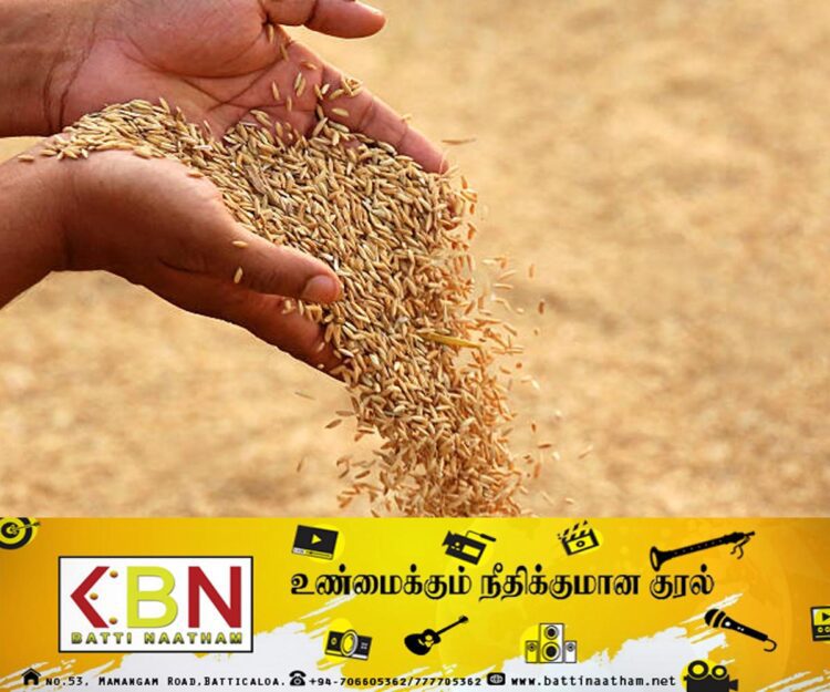 விவசாயிகளிடம் இருந்து நெல்லை கொள்வனவு செய்ய விலை நிர்ணயம் செய்தது விவசாய அமைச்சு!