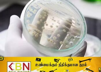 அமெரிக்காவில் உயிரை பறிக்கும் பூஞ்சை தொற்று அதிகரிப்பு!