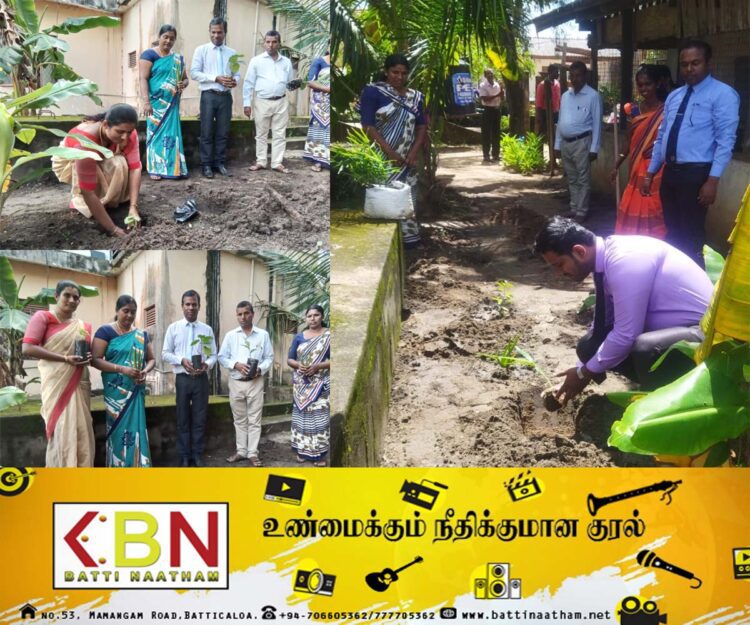 போரதீவுப்பற்று பிரதேச செயலகத்தில் மூலிகை கன்றுகள் நடும் நிகழ்வு!