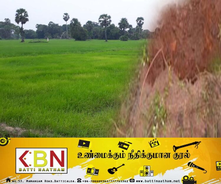 புதையல் தோண்டிய இரண்டு பெண்கள் உட்பட ஆறு பேர் கைது!