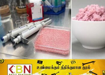 மாமிச அரிசியை கண்டுபிடித்து விஞ்ஞானிகள் சாதனை!