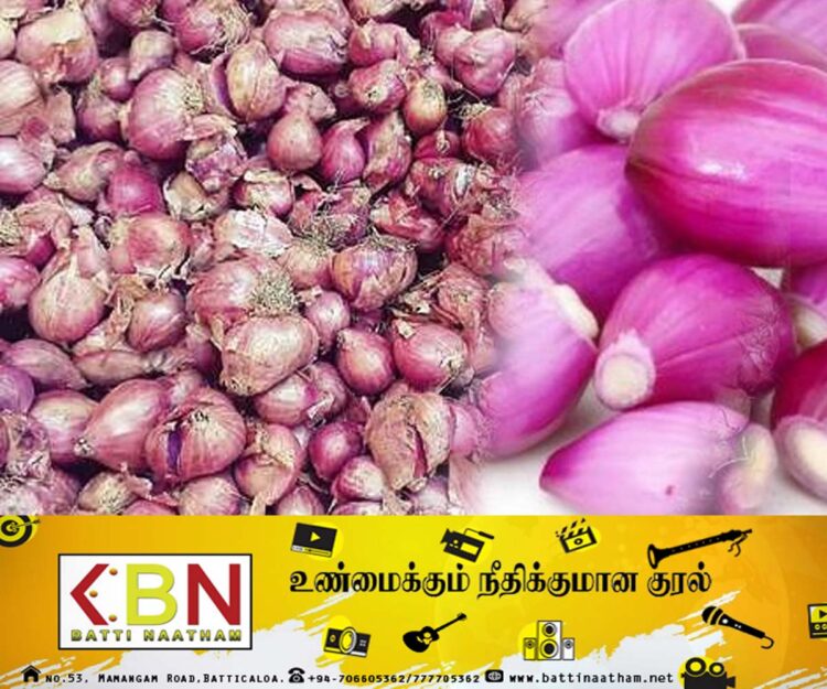 சின்ன வெங்காய உற்பத்திக்கு இலவசக் காப்புறுதி!
