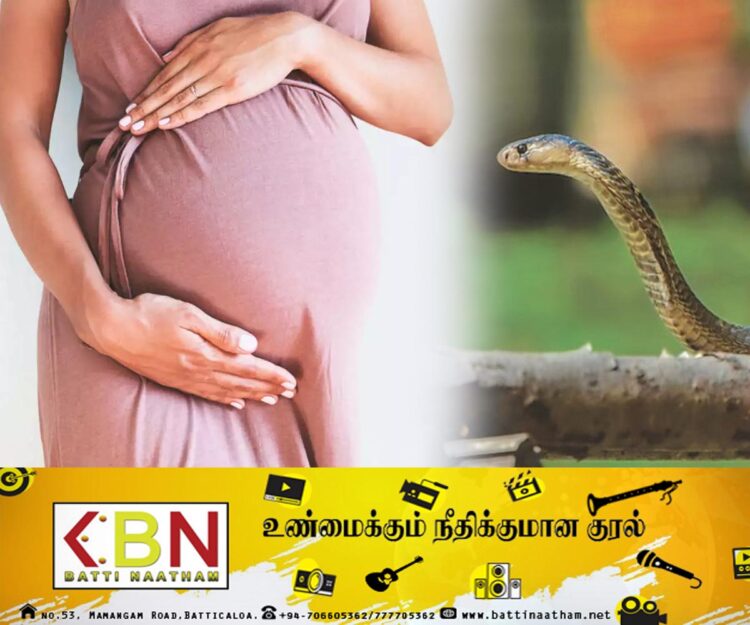 திருமலையில் பாம்புக்கடிக்கு இலக்காகி மூன்று மாத கற்பிணி உயிரிழப்பு!