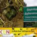 திருகோணமலையில் துப்பாக்கி இரவைகள் மீட்பு!