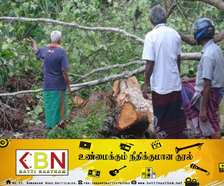 மரத்தை வெட்ட முற்பட்டு அதே மரத்தடியில் உயிரிழந்த ஓய்வுபெற்ற தபால் நிலைய பொறுப்பதிகாரி!