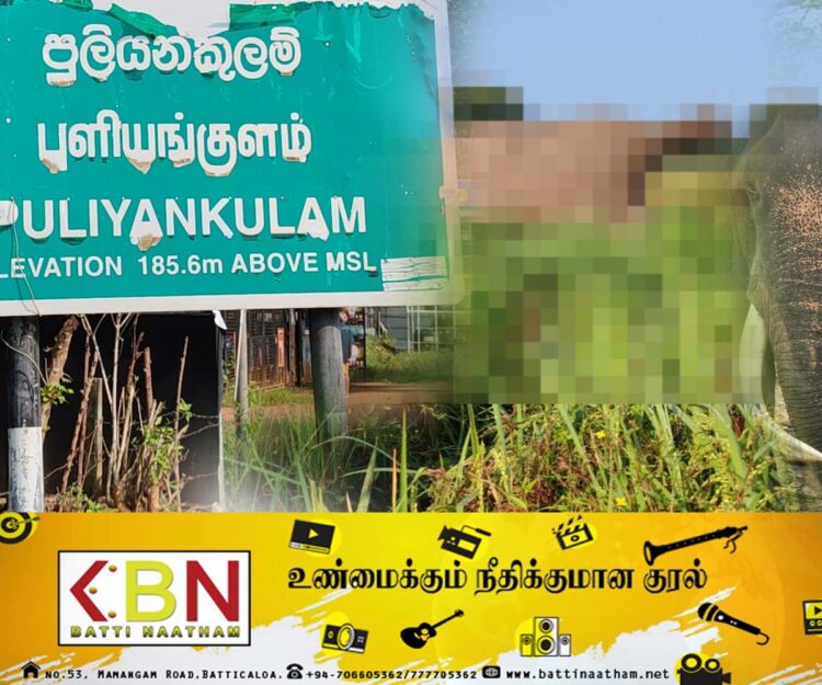வவுனியாவில் யானையின் சடலம் மீட்பு!