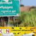 வவுனியாவில் யானையின் சடலம் மீட்பு!