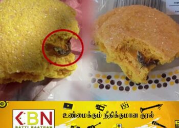 யானைக்கர்த்தானிற்குள் கிடந்த பல்லியால் பதற்றம்!