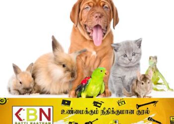 நாட்டில் செல்லப்பிராணி வைத்திருப்போருக்கான அறிவுறுத்தல்!