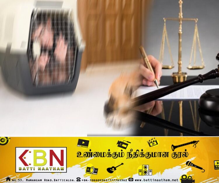மகனை நாய்க் கூண்டில் அடைத்து சித்ரவதை செய்த தாய்!