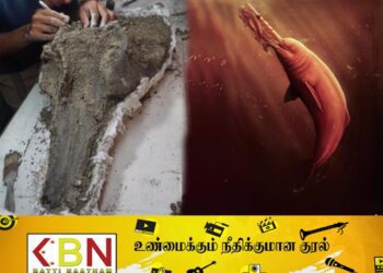 மிகப்பெரிய நதி டால்பினின் மண்டையோடு அமேசான் மலைக்காட்டில் கண்டுபிடிப்பு!