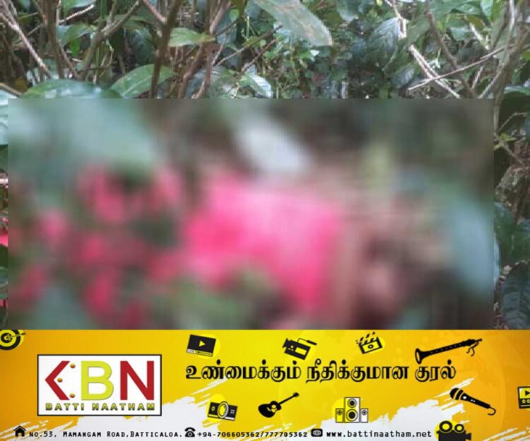 தேயிலை தோட்டத்திற்குள் கழுத்தறுக்கப்பட்ட நிலையில் 17 வயது மாணவியின் சடலம் மீட்பு!