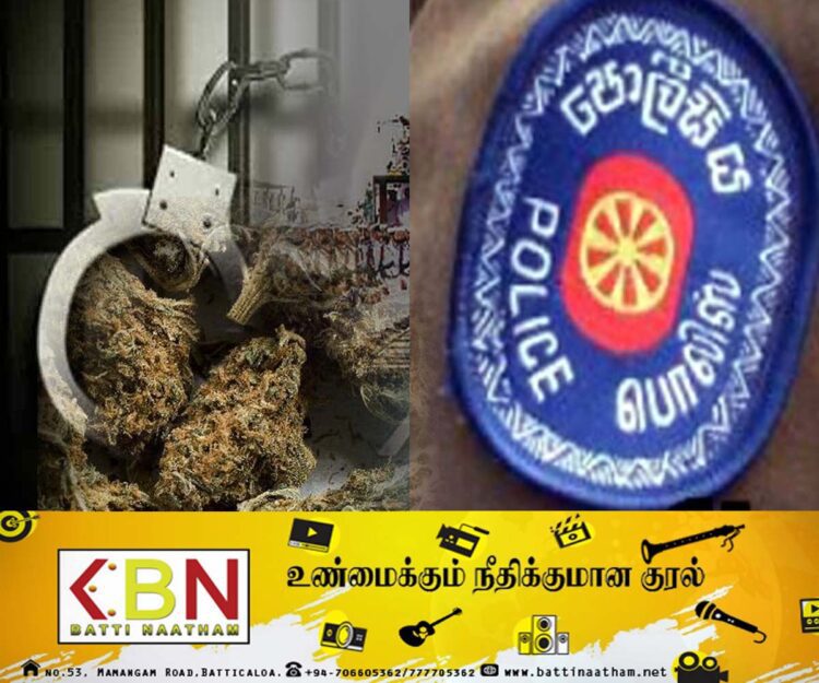 கேரள கஞ்சாவுடன் இரண்டு கடற்படையினர் உட்பட மூவர் கைது!