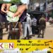 தகவல் வழங்கினால் பணப்பரிசு; பொலிஸார் அறிவிப்பு!