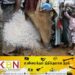 ஒவ்வொரு குடும்பத்திற்கும் 10 கிலோ அரிசி வழங்கப்போகும் அரசாங்கம்!