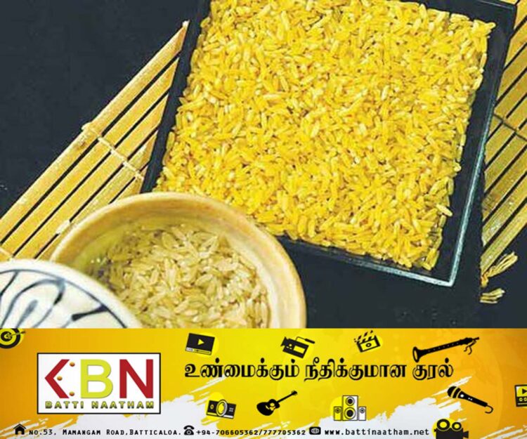 இலங்கையில் தங்க அரிசியை அறிமுகப்படுத்தப்போகும் சந்தைப்படுத்தல் சபை!