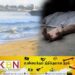 திருகோணமலை கடற்கரையில் சடலம் ஒன்று மீட்பு!