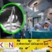வயிற்றுக்குள் வாழ்ந்த விலாங்கு மீன்; அறுவை சிகிச்சையில் அதிர்ச்சியடைந்த மருத்துவர்கள்!