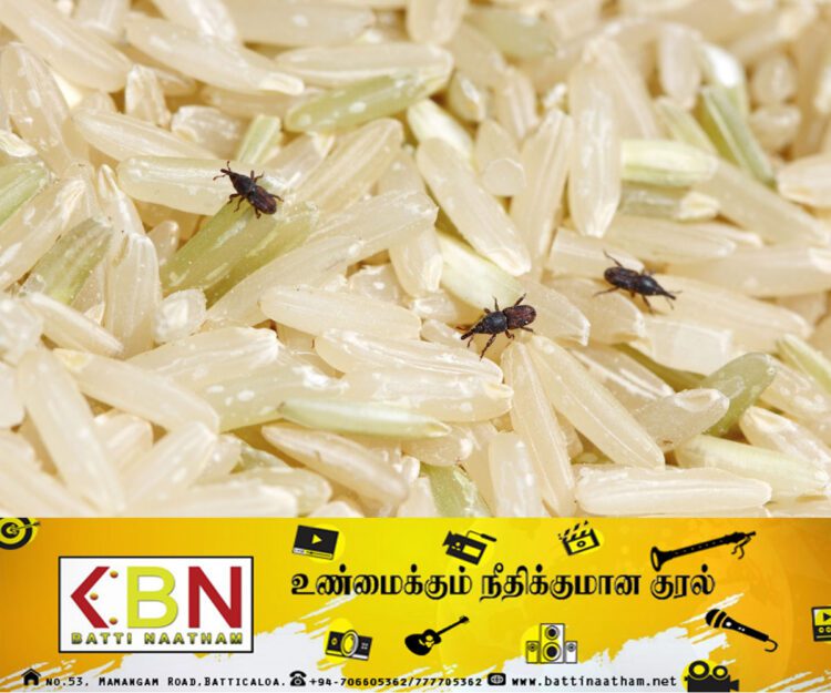 தரமற்ற அரிசி தொடர்பில் விசாரணை நடத்துமாறு சஜித் கோரிக்கை!