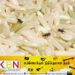தரமற்ற அரிசி தொடர்பில் விசாரணை நடத்துமாறு சஜித் கோரிக்கை!