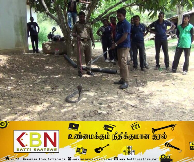 பாம்புகளை கையாளும் முறைகள் பற்றி பொலிஸாருக்கு செயலமர்வு!