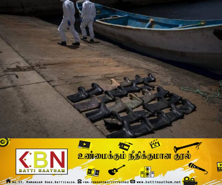 கரை ஒதுங்கிய படகில் சிதைவடைந்த மனித உடல்கள்; அதிர்ச்சியில் ஆழ்த்தியுள்ள பிரேசில் சம்பவம்!