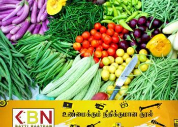 மரக்கறிகளின் விலை வீழ்ச்சி; பாதிப்படையும் விவசாயிகள்!