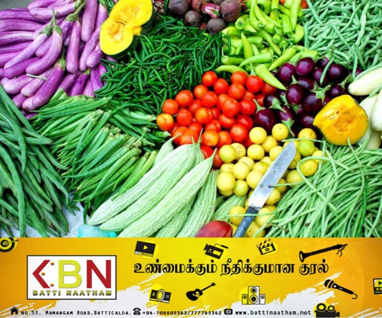 மரக்கறிகளின் விலை வீழ்ச்சி; பாதிப்படையும் விவசாயிகள்!