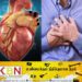 இலங்கையில் அதிகரித்து வரும் மாரடைப்பு மரணங்கள்; வைத்தியர்களின் அறிவுரைகள்!