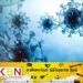 யாழில் பெண்ணொருவர் உயிரிழப்பு; கொரோனோ தொற்று உறுதி！
