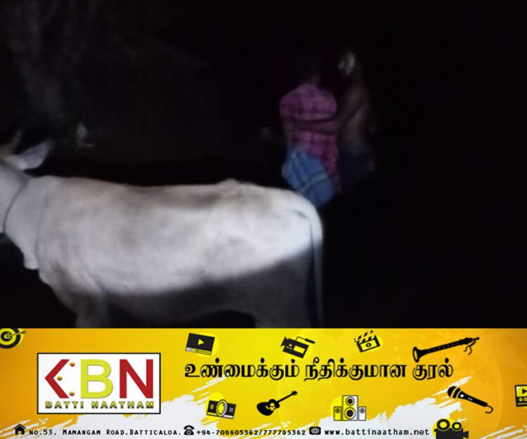 மாடு களவாடியவரை மடக்கி பிடித்து பொலிஸாரிடம் ஒப்படைத்த பொதுமக்கள்!