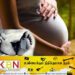 வவுனியா வைத்தியசாலை குளியலறையில் வழுக்கி விழுந்த கர்ப்பிணித்தாய் மரணம்!