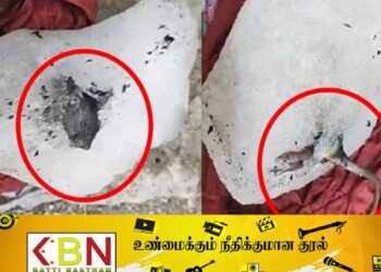 ஹோட்டல்களுக்கு விநியோகிக்கப்பட்ட ஐஸ் கட்டியில் உறைந்த நிலையில் எலி!