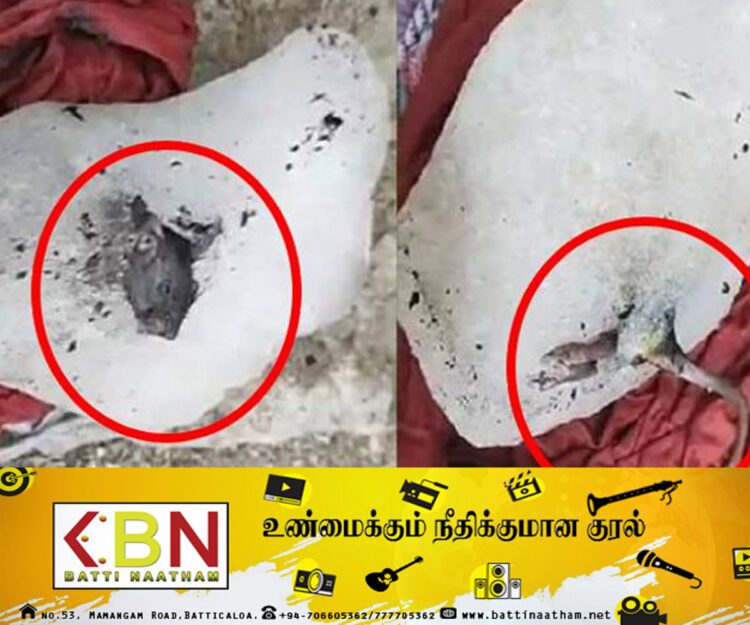 ஹோட்டல்களுக்கு விநியோகிக்கப்பட்ட ஐஸ் கட்டியில் உறைந்த நிலையில் எலி!