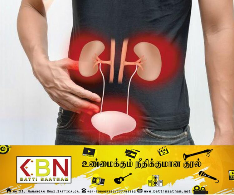 இலங்கையின் சனத்தொகையில் 10 வீதமானோர் சிறுநீரக நோயினால் பாதிப்பு!