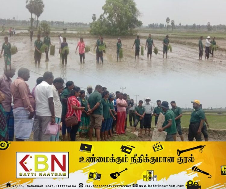 கொக்கட்டிச்சோலையில் பரசூட் முறையிலான நெற்செய்கை முறை அறிமுகம்!