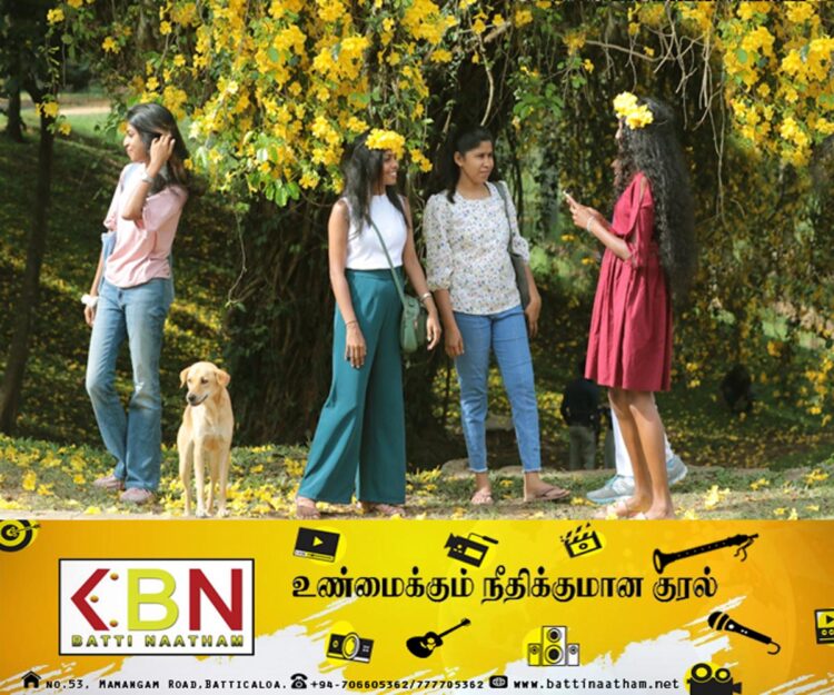 பேராதனை பல்கலைக்கழகத்தில் பூத்து குலுங்கும் மஞ்சள் மலர்கள்!