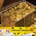 புதையல் தோண்டிய குற்றச்சாட்டில் திருகோணமலையில் பலர் கைது!