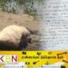 பட்டிருப்பில் இளைஞன் கடிதம் எழுதி வைத்துவிட்டு தற்கொலை!